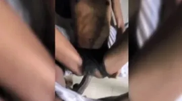 pictures of pornstars